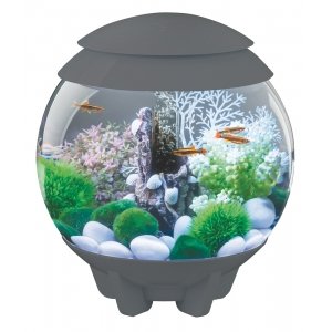 BiOrb Halo aquarium 15 liter MCR grijs