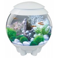 BiOrb Halo aquarium 15 liter MCR wit