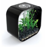 BiOrb Life aquarium 30 liter MCR zwart