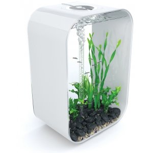 Biorb Life aquarium 60 liter MCR wit