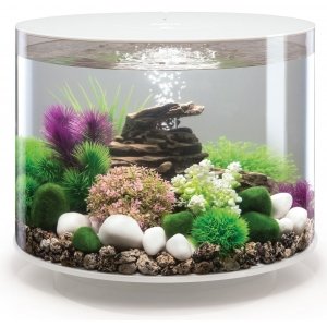 BiOrb Tube aquarium 35 liter LED wit